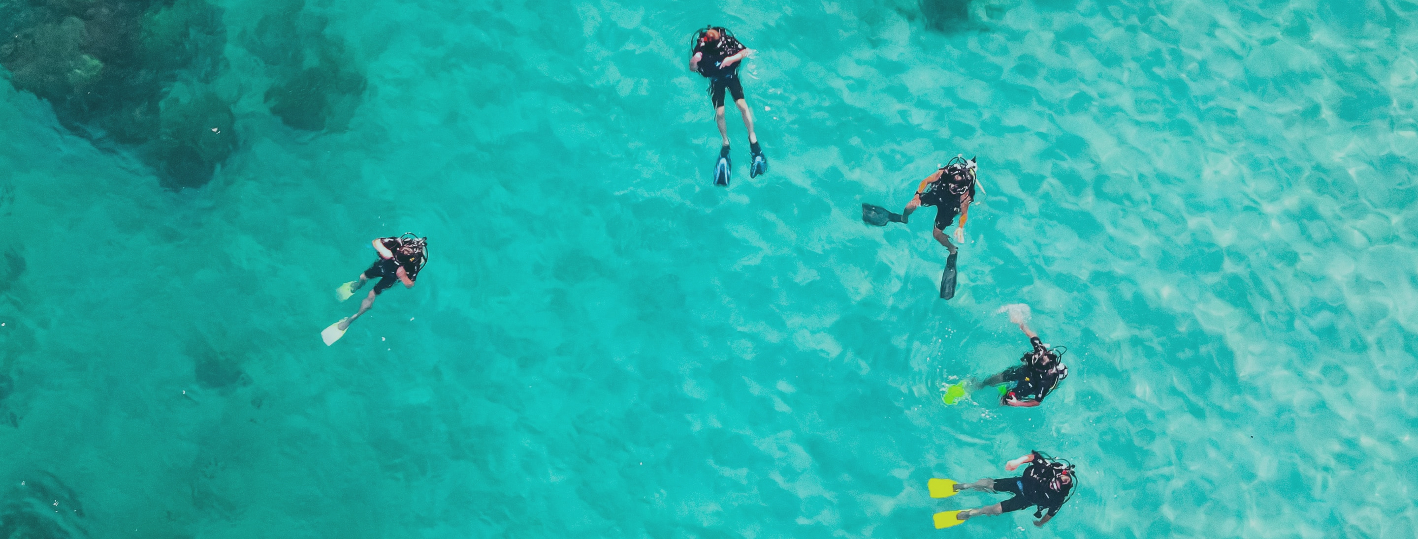 海に浮かぶ5人のダイバー